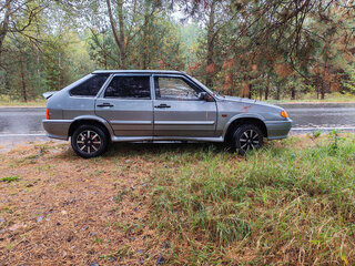 2010 Lada (ВАЗ) 2114, серый, 295000 рублей, вид 4