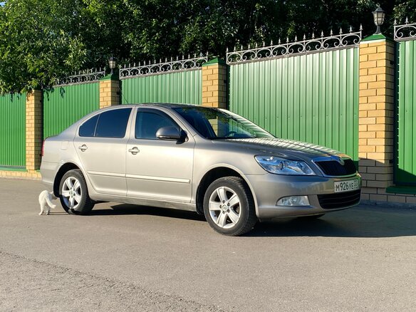 2010 Skoda Octavia II (A5) Рестайлинг, серый - вид 1