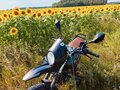 2025 Racer Alpha, зелёный, 55000 рублей