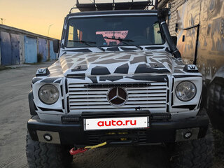 1993 Mercedes-Benz G-Класс 250 II (W463), белый, 850000 рублей, вид 1