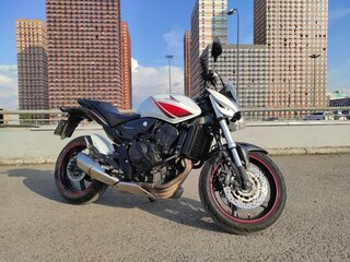 2009 Honda CB 600F Hornet, белый, 570000 рублей, вид 1