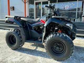 2025 Loncin XWolf 200, чёрный, 250000 рублей, вид 3