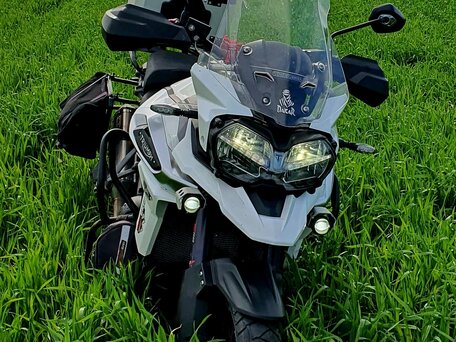 2018 Triumph Tiger 1200, белый, 1300000 рублей, вид 2