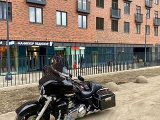 2007 Harley-Davidson Street Glide, чёрный, 850000 рублей, вид 4