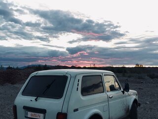 1997 Lada (ВАЗ) 2121 (4x4) I Рестайлинг, белый, 270000 рублей, вид 2
