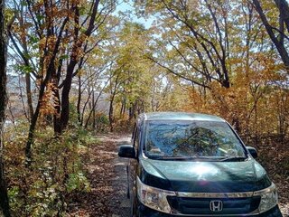 2019 Honda N-WGN II, зелёный, 950000 рублей, вид 2
