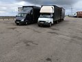 2019 ГАЗ ГАЗель (3302), белый, 1700000 рублей - вид 8