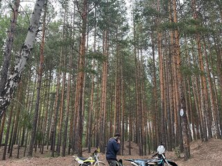 2021 Avantis Enduro 250, синий, 145000 рублей, вид 3