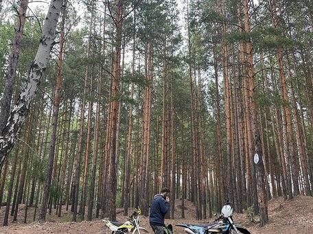 2021 Avantis Enduro 250, синий, 145000 рублей, вид 3