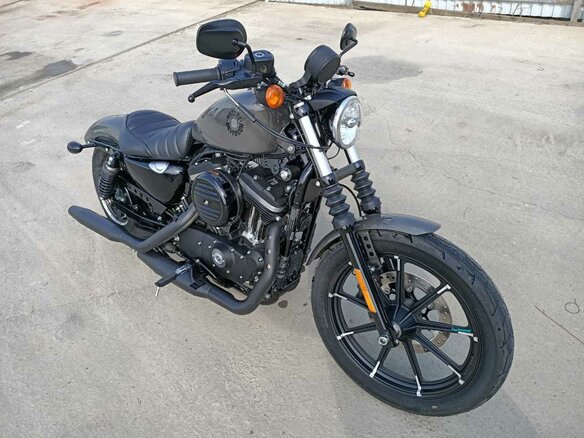 2019 Harley-Davidson Sportster 883, серый - вид 2