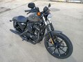 2019 Harley-Davidson Sportster 883, серый - вид 2
