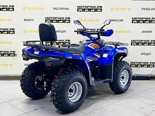 2025 Bashan Explorer 300, синий, 299000 рублей, вид 5