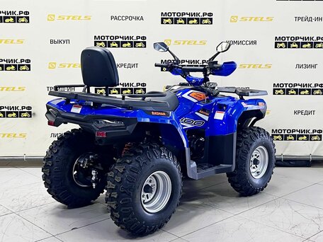 2025 Bashan Explorer 300, синий, 299000 рублей, вид 5