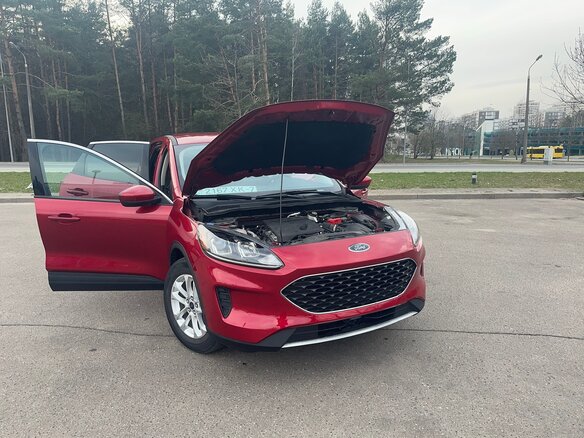 2020 Ford Escape IV, красный, 1380000 рублей - вид 7