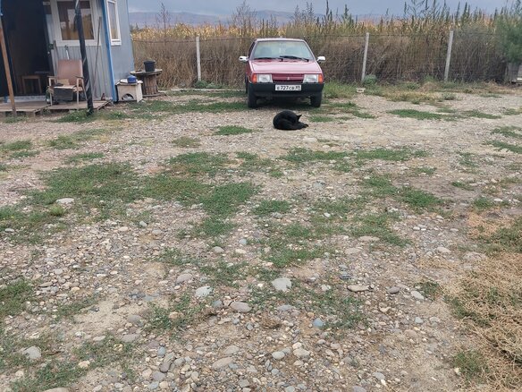 1994 Lada (ВАЗ) 2109, красный, 150000 рублей