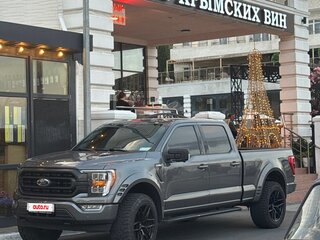 2021 Ford F-150 XIV, серый, 6500000 рублей, вид 3
