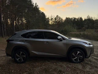 2018 Lexus NX 300 I Рестайлинг, серебристый, 3700000 рублей, вид 4