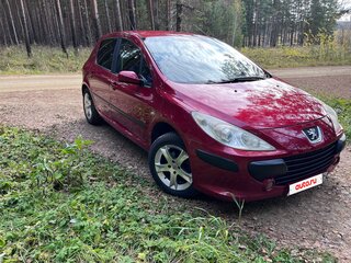 2006 Peugeot 307 I Рестайлинг, красный, 350000 рублей, вид 2