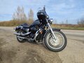 2010 Honda Shadow 750, серый, 525000 рублей - вид 6