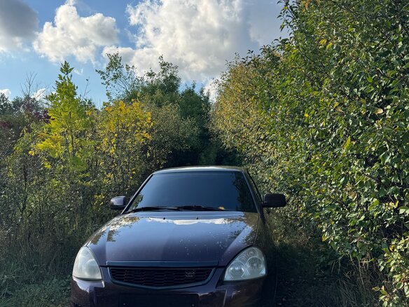 2010 Lada (ВАЗ) Priora I, пурпурный, 345000 рублей - вид 3