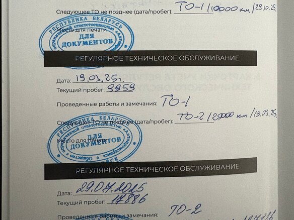 2024 Dongfeng Shine GS, серый, 1400000 рублей - вид 12