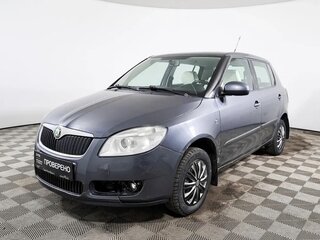 2009 Skoda Fabia II, серый, 480000 рублей, вид 5