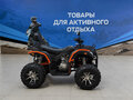 2026 Другие Мотовездеходы (другие), чёрный, 234400 рублей - вид 1