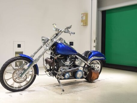 2001 Harley-Davidson Softail Deuce, синий, 694000 рублей, вид 4