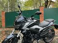 2021 Bajaj Dominar 250, чёрный, 240000 рублей - вид 1
