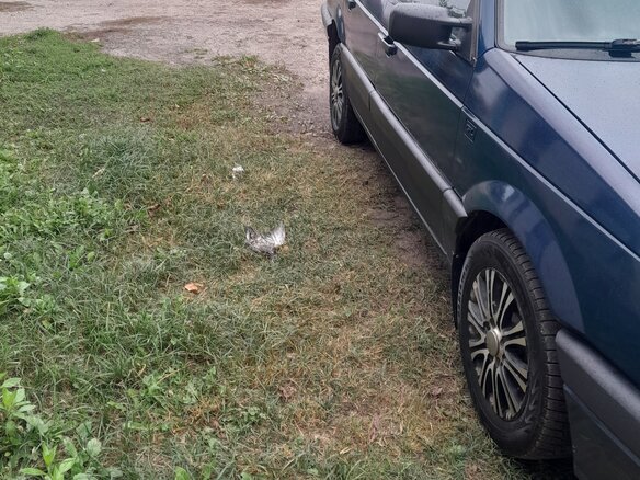 1990 Volkswagen Passat B3, синий - вид 2