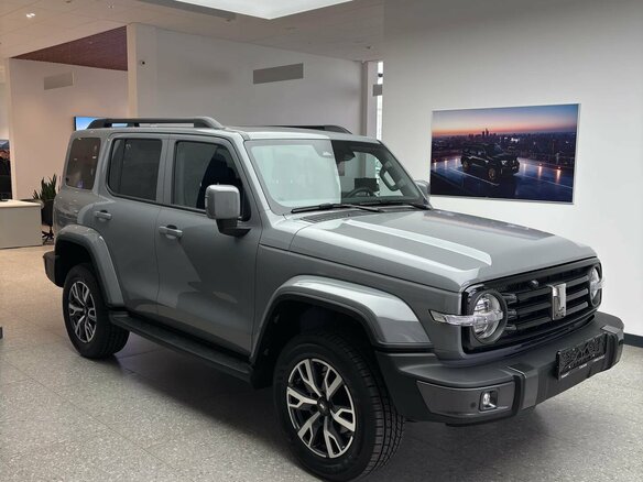 2025 Tank 300 I, серый - вид 3