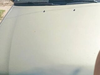 2009 Daewoo Nexia I Рестайлинг, золотистый, 175000 рублей, вид 3