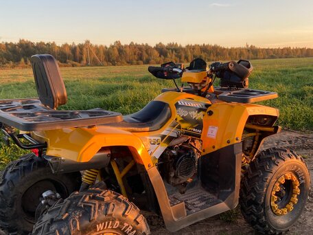 2026 Motoland Wild Track 200, жёлтый, 185000 рублей, вид 5