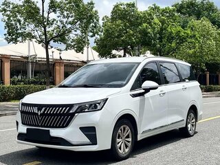 2023 Wuling Jiachen, белый, 1040000 рублей, вид 1