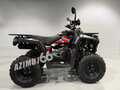 2026 Iride 200 Rover, чёрный, 160000 рублей - вид 3