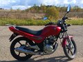 2012 Sym XS 125, красный - вид 4
