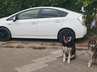 2013 Toyota Prius III Рестайлинг (XW30), белый, 1300000 рублей, вид 2