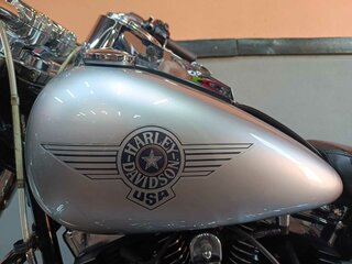 2009 Harley-Davidson Fat Boy, серый, 870000 рублей, вид 5