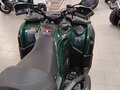 2026 Loncin XWolf 700, зелёный, 898000 рублей - вид 9