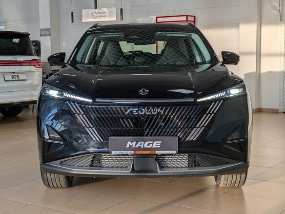 2024 Dongfeng Mage, чёрный - вид 29