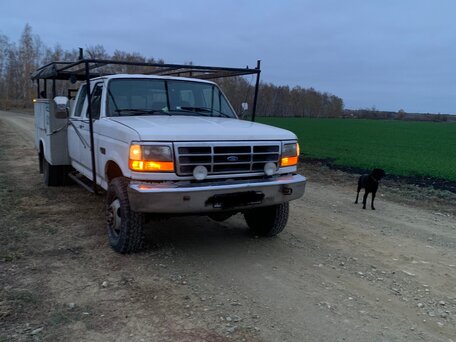 1992 Ford F-350, белый, 1600000 рублей, вид 4