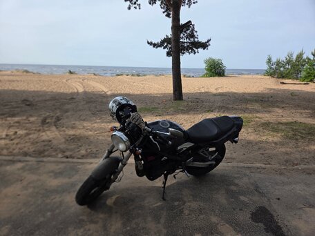 1996 Suzuki Bandit GSF 400, чёрный, 220000 рублей, вид 1