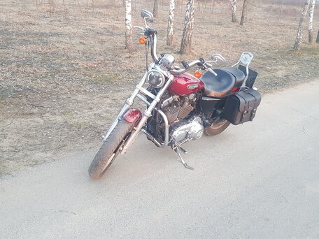 2009 Harley-Davidson Sportster 1200, пурпурный, 780000 рублей, вид 4