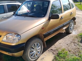 2004 Chevrolet Niva I, бежевый, 280000 рублей, вид 1