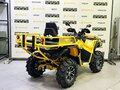 2026 Stels ATV-800 Guepard Cargo, жёлтый - вид 4