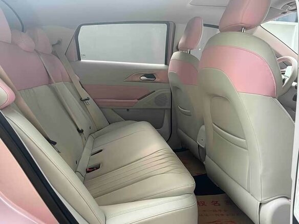 2023 Geely Geometry E 39.4 kWh, розовый - вид 13