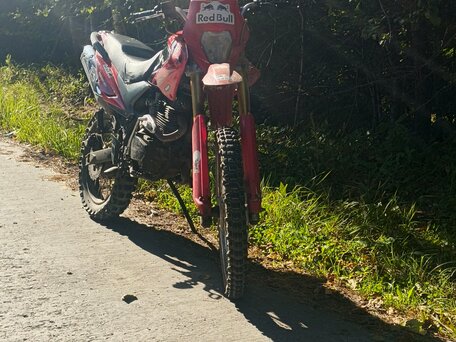 2015 Bars YQ250GY-18V, красный, 80000 рублей, вид 1