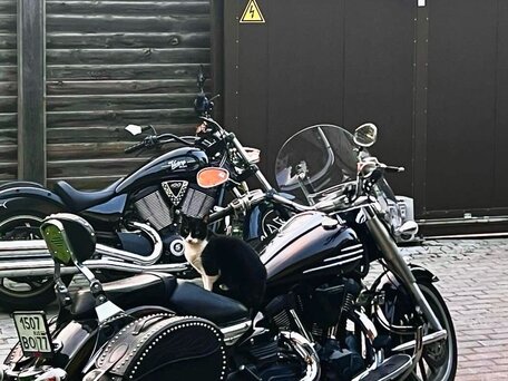 2007 Yamaha XV 1900, коричневый, 975000 рублей, вид 3