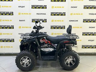2025 Bison Hammer 250 PRO, чёрный, 252990 рублей, вид 2