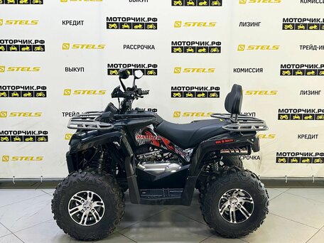 2025 Bison Hammer 250 PRO, чёрный, 252990 рублей, вид 2